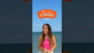 What's Up in Florida: Spring adventures