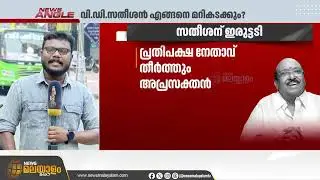 പ്രതിപക്ഷ നേതാവിനെതിരെ തിരിഞ്ഞ് വെള്ളാപ്പള്ളിയും സുകുമാരൻ നായരും; വിഡി സതീശൻ എങ്ങനെ മറികടക്കും