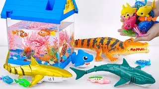 [🐋Toy asmr🐋]Crocodile & RC Shark &Baby Shark &Dolphin & House Aquarium ASMR Satisfying with Unboxing