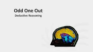 brain audit video introduction
