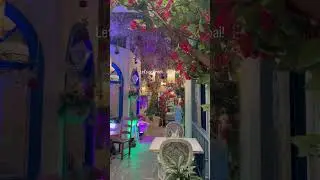 C restaurant Dubai #greek #dubai #restaurant #food #greekfood