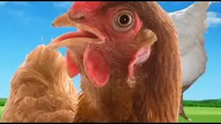 chickenzilla