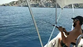 &Psi;&alpha;&rho;&epsilon;&mu;&alpha; &mu;&epsilon; &sigma;&iota;&lambda;&iota;&kappa;ό&nu;&eta;... &Sigma;&tau;ή&rho;&alpha;(Epinephelus costae)