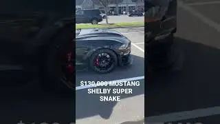 SHELBY SUPER SNAK &mdash; MUSTANG за 130 000 долларов