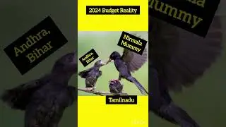 2024 Budget Reality #budget2024#nirmalasitharaman#central#tamilnadu#maharashtra#bihar#andhrapradesh