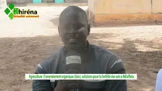 Agriculture : l'amendement organique (t&ouml;ss), solutions pour la fertilit&eacute; des sols &agrave; Ndiaffate.