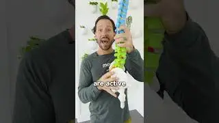 Если у вас болит поясница, когда вы стоите, сделайте это...