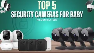 Топ-5 камер видеонаблюдения для защиты детей, домашних животных и дома &mdash; без ежемесячной платы