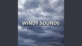 Breezy Meditation Wind Sounds