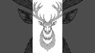 Mysteries of the North: Celtic Knots & Runes Coloring Book 🐉