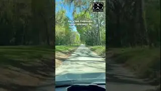 Driving Home Everyday in High Springs, Florida