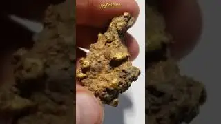 Huge Gold Nugget Cleaning Preparation | Part 1