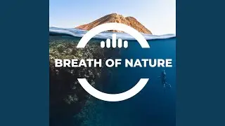 Breath Of Nature