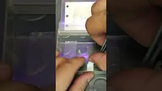 DIY ILLEGAL Police light