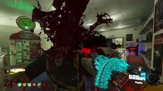 Black Ops 3 Custom Zombies - GTA V Ammunation