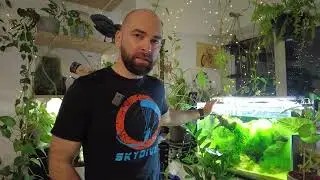 Vlad Rotaru, pasionat de animale exotice de mici dimensiuni: Pot să creez un ecosistem &icirc;n miniatură