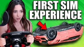 Мой гоночный симулятор от Girlfriend Drive за 5000 долларов.