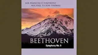 Symphony No. 9 in D Minor, Op. 125: I. Allegro ma non troppo, un poco maestoso