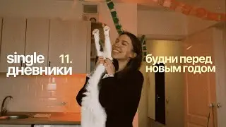 single дневники 11. ожидание нг и что-то идет не по плану