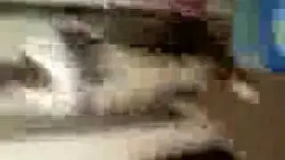 utube3