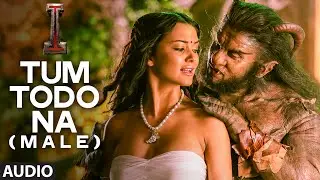 'Tum Todo Na (Male)' FULL AUDIO Song 'I' | Aascar Films | A. R. Rahman | Shankar, Chiyaan Vikram