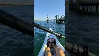 Kayaking Florida, Manasota Key Beach #lastmile #kayaking #kayakingflorida #manasotakeybeach