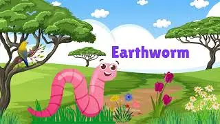 Learn Insects and Bugs Names | Kids Vocabulary | Learning Video for Kids | Insects and Bugs