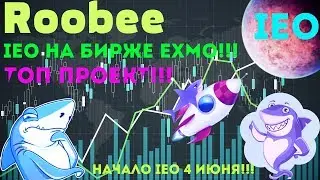 ✅IEO Roobee - Инвестиционная Платформа | Начало 4 Июня!!! #exmo #Roobee