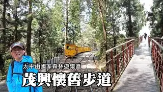 太平山~茂興懷舊步道，搭蹦蹦車才能抵達的森林浴步道