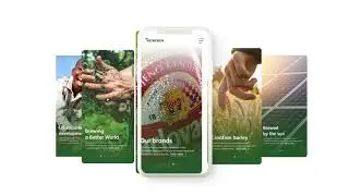 Heineken Website Concept  // ALT digital agency