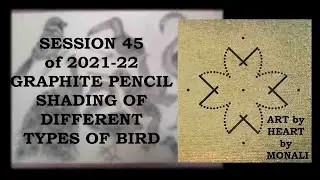 DRAWING FOR BEGINNERS, STEP BY STEP,  HOW TO DRAW,DAY45-2021-22 ,GRAPHITE PENCIL SHADING  OF BIRDS