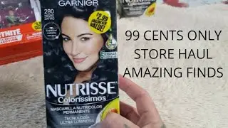 NEW FINDS AT MY 99 CENTS ONLY STORE ( Christmas gifts)