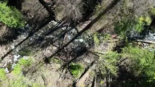 Mack Creek Bridge 20240517