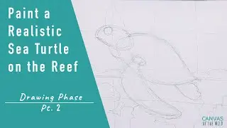Paint a Realistic Sea Turtle and Coral Reef in Acrylic - Pt. 2