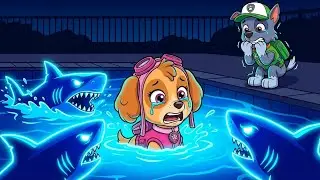 PAW PATROL: Skye&rsquo;s Neon Shark Pool Adventure! 🦈 | Funny PAW Patrol Animation