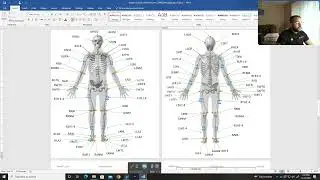 Визуальный 3D-урок 102. Создание биомеханической модели