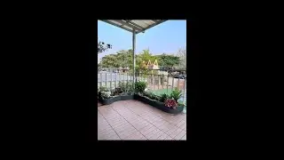 Lazy person's balcony landscape with fish, shrimp and turtle