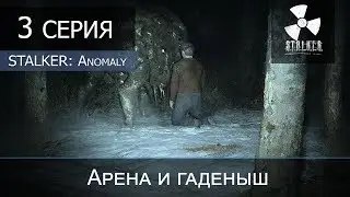 S.T.A.L.K.E.R. Anomaly 1.5.0 [BETA 2.4] + RRA 2.0 - 3 серия 