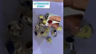 DIARO XALISS WEURSEUK OUBÉKAY YEUKATIKOU KARANGUÉ AK LÉP 
