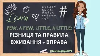 Few, A Few, Little, A Little: Різниця та правила вживання + Вправа