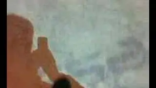 Real or fake? Fish in virtual pond...