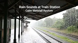 Rain on Metal Roof for Meditation