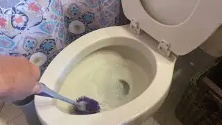 The Swish! The FlyLady Rubba Swisha and Vase Pack!
