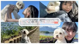 レオくんと河口湖🗻