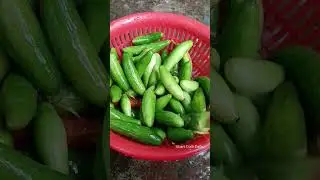 Vegetable cleaning #funny #bhujiya #food #ytshorts #shortfeed #recipe Sm#cleaning #foodie #foodie