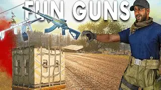 Fennec + AMAX Is Fun - Warzone