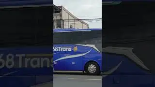 168 TRANS NEW LIVERY
