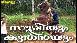 Horse Ride with Sooppi