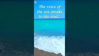 Beautiful Ocean Waves❤️Sea Quotes and Sayings #shorts #ocean #status #quotes #nature #sea