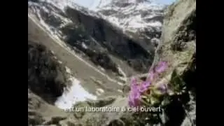 Orso TV Promo